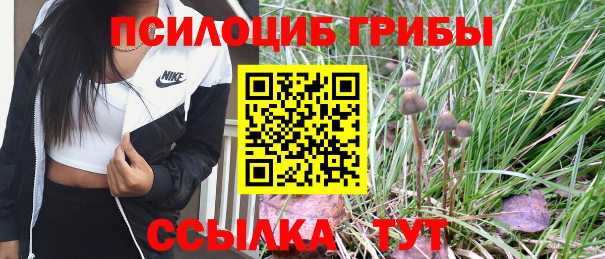Галлюциногенные грибы MAGIC MUSHROOMS Холмск